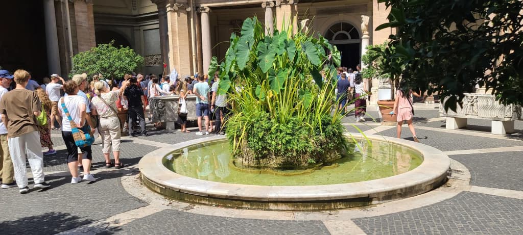 Rome - Photo by Photos are copyrighted by their owners