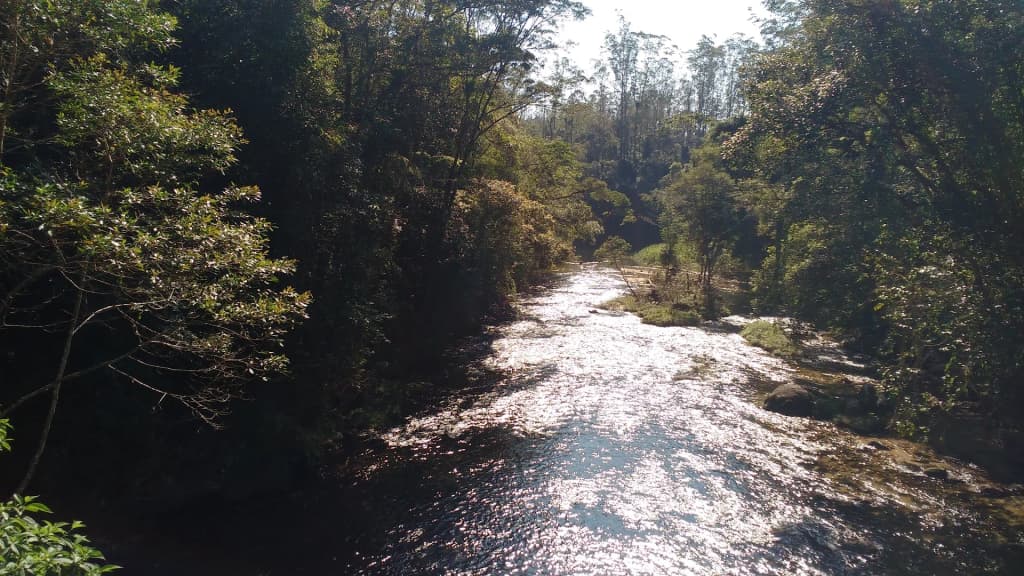 Kayaking on the crystal-clear Itatinga River