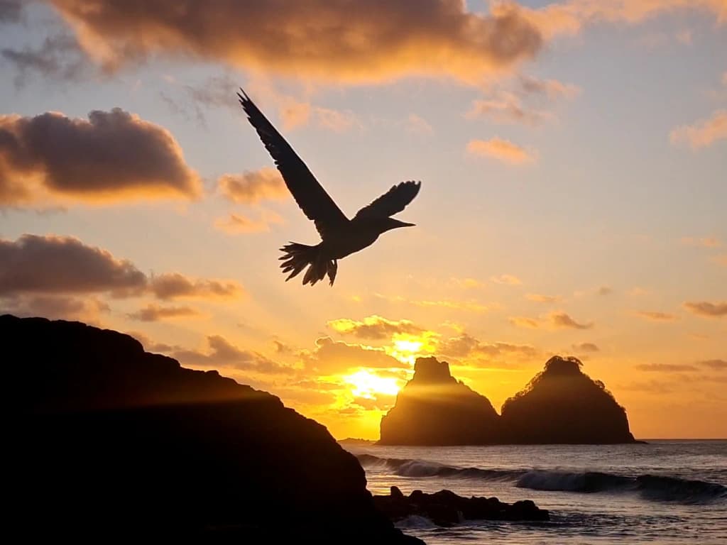 Fernando de Noronha - Photo by Guilherme Luz