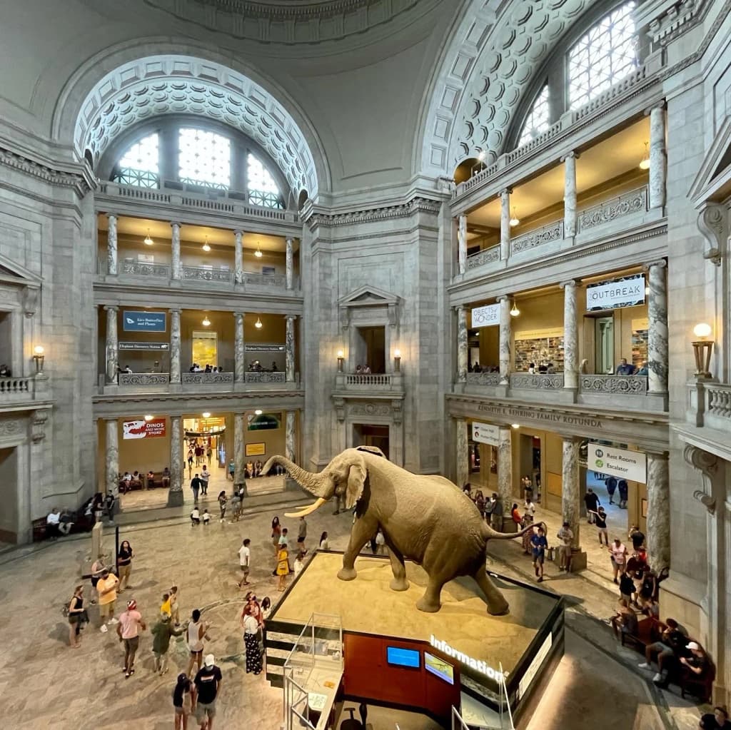 Smithsonian National Museum of Natural History - Photo by Clelia Ceballos