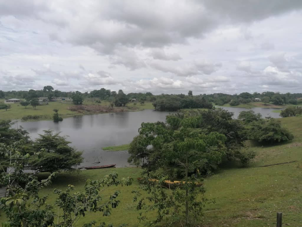 Navigating the winding Paraná do Mamori River deep inside the Amazon