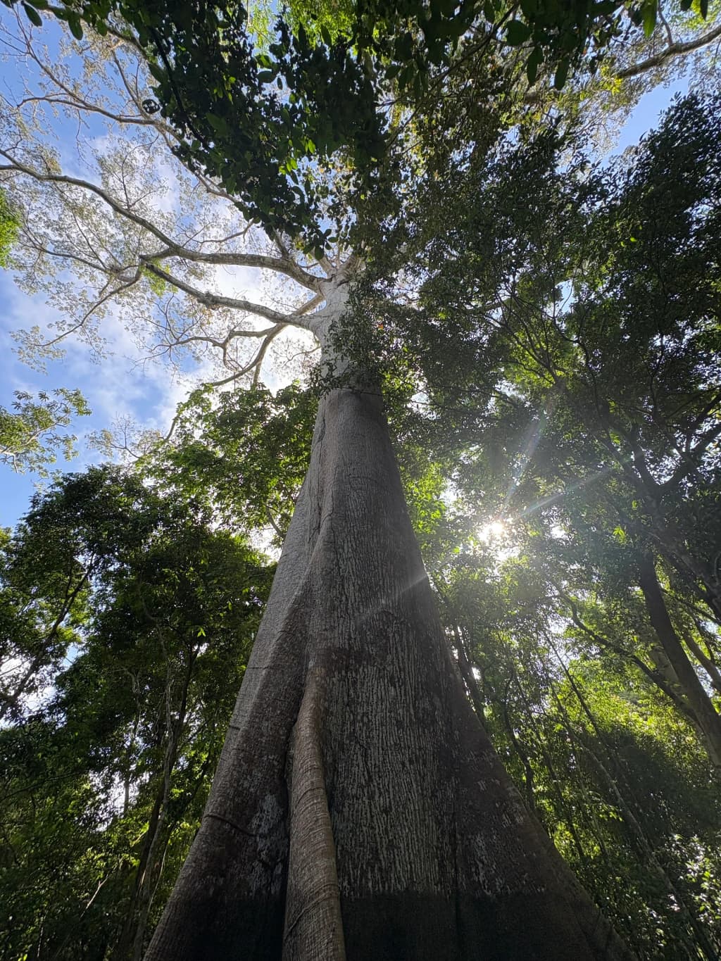 A small jungle lodge and tour boat on the edge of the dark Amazon waters