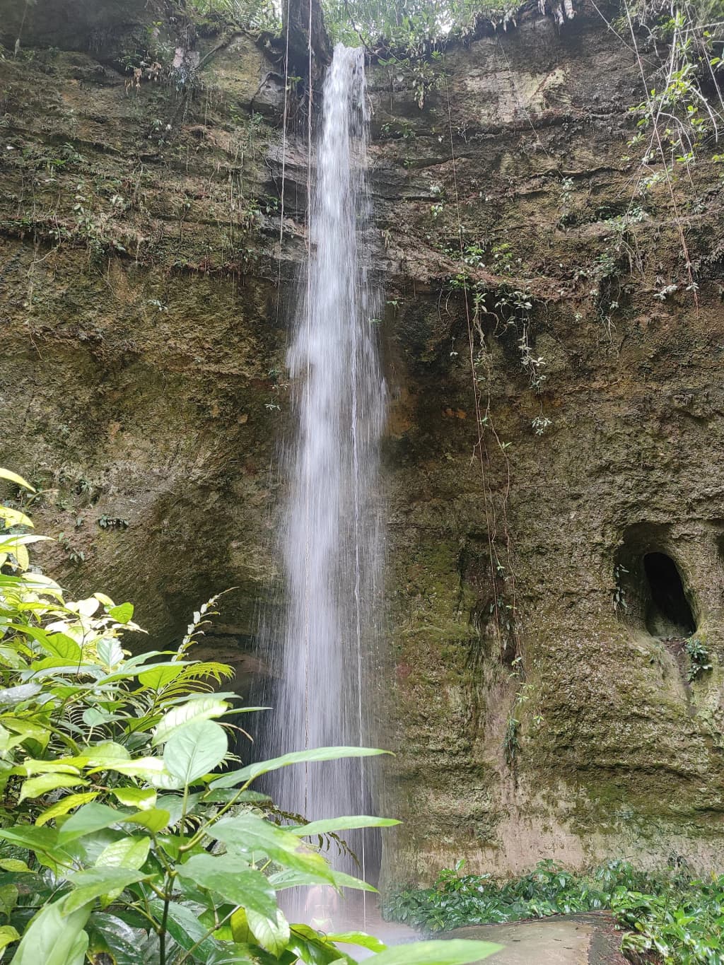 State of Amazonas - Photo by André Guerra