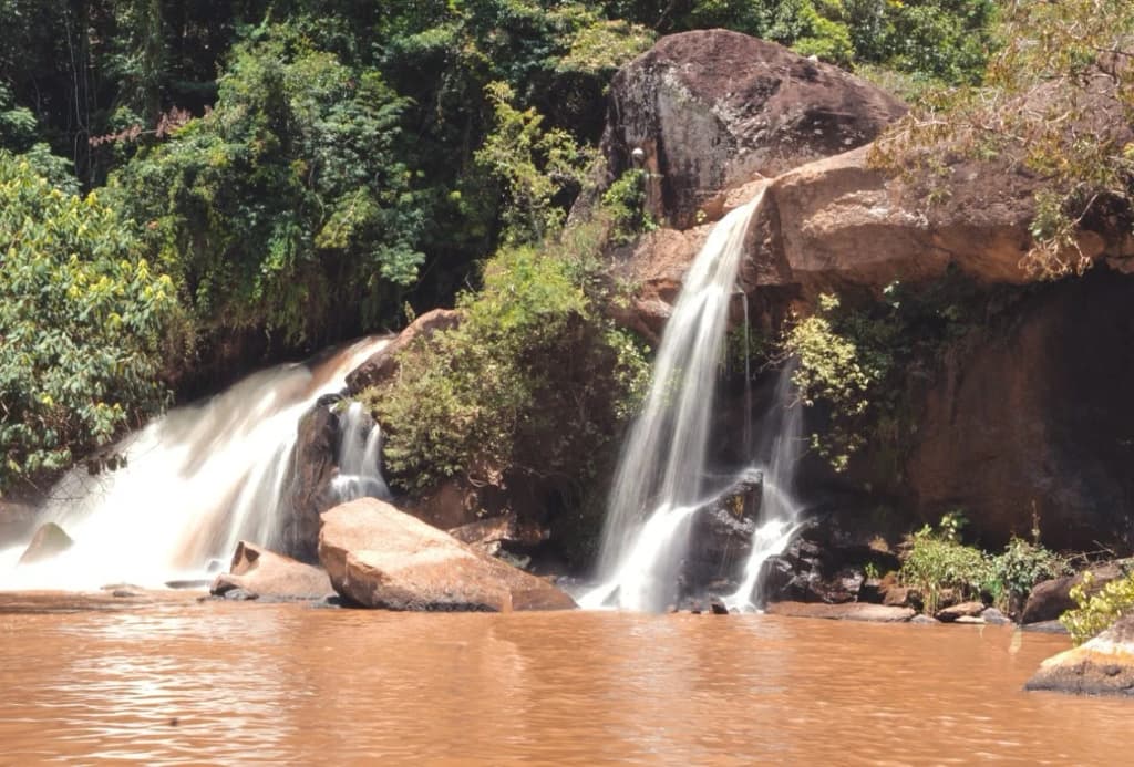 Rushing waters of the waterfall surrounded by dense green forest