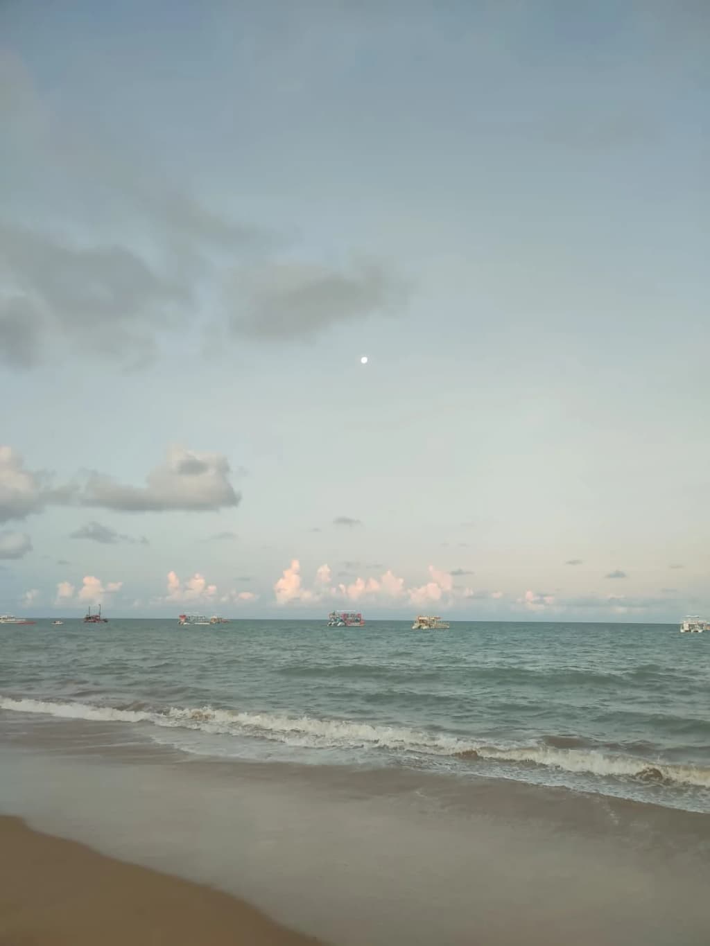 Tambaú Beach with palm trees and blue sky