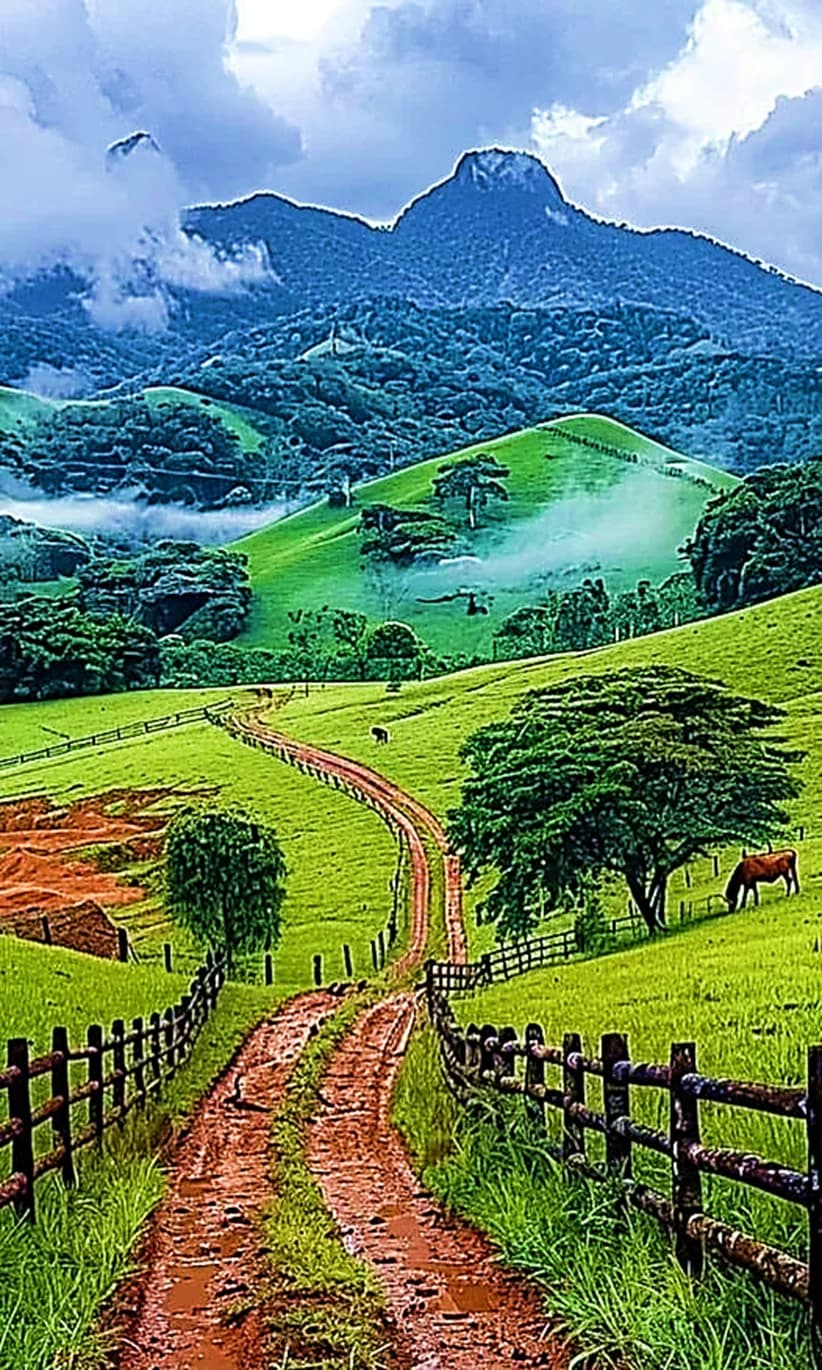 Mantiqueira Mountains - Photo by Ronnedy Miranda