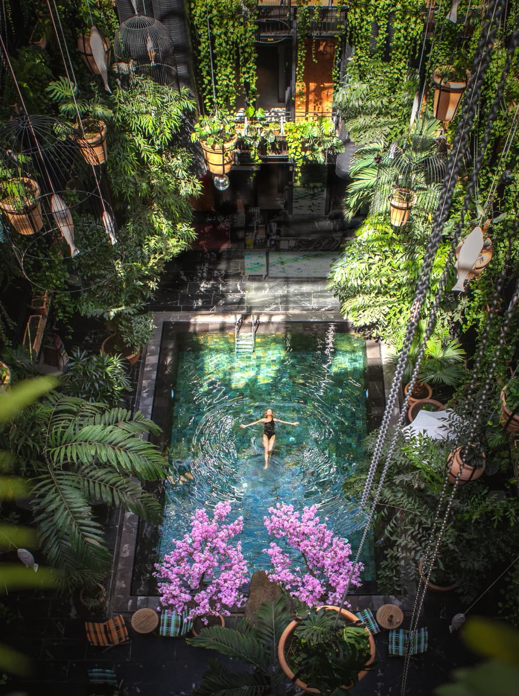 Lush tropical greenery surrounding the Junglefish pool at Manon Les Suites