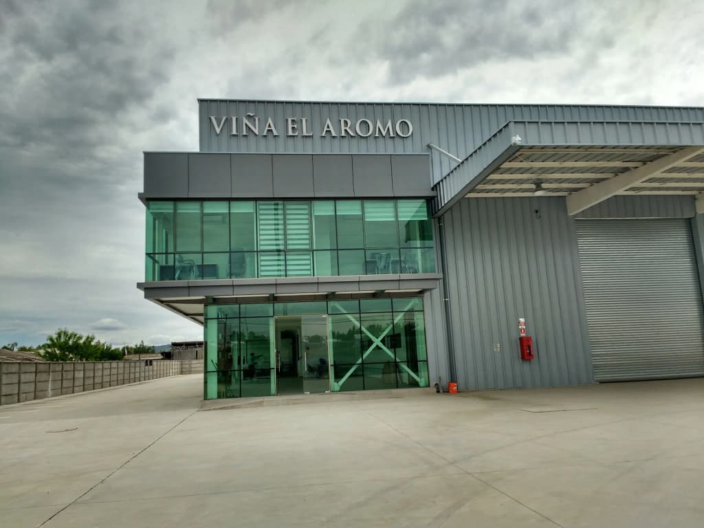 Sunset vines at Viña Aromo