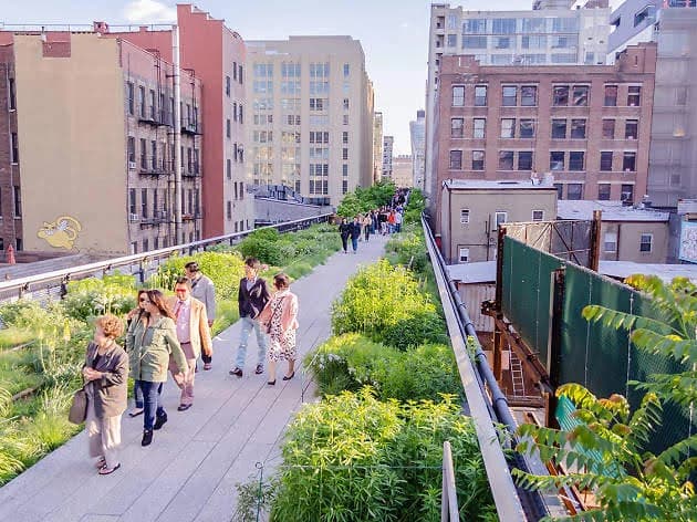 The elevated, lush walkway of the High Line park winding through Manhattan's West Side