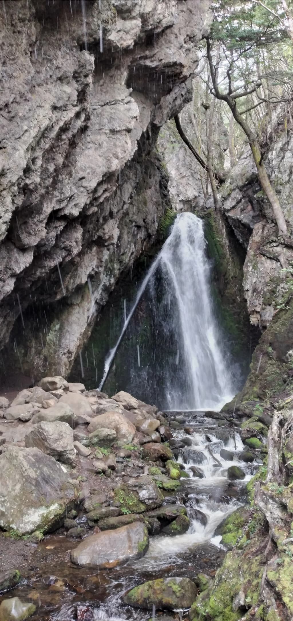 Puerto Almanza village Beagle Channel