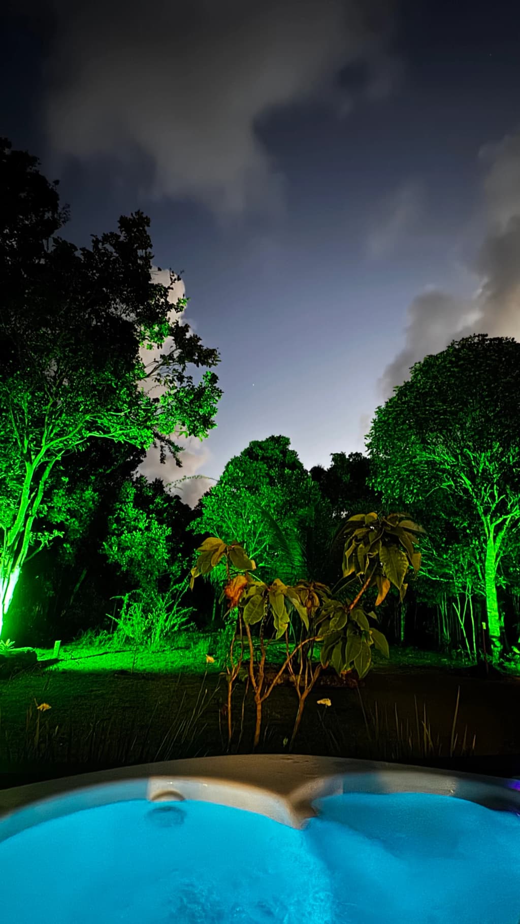 Domo Brisa Boa exterior surrounded by lush forest in Arraial d'Ajuda