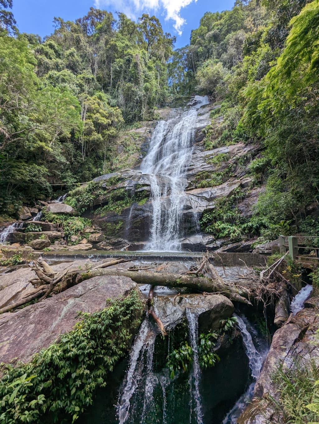 Niebla matutina en el Parque Nacional Tijuca