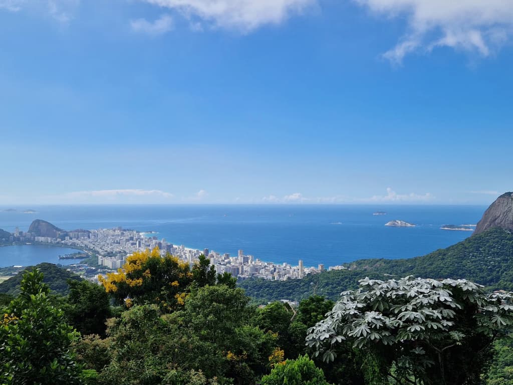 Densa vegetación del Parque Nacional Tijuca