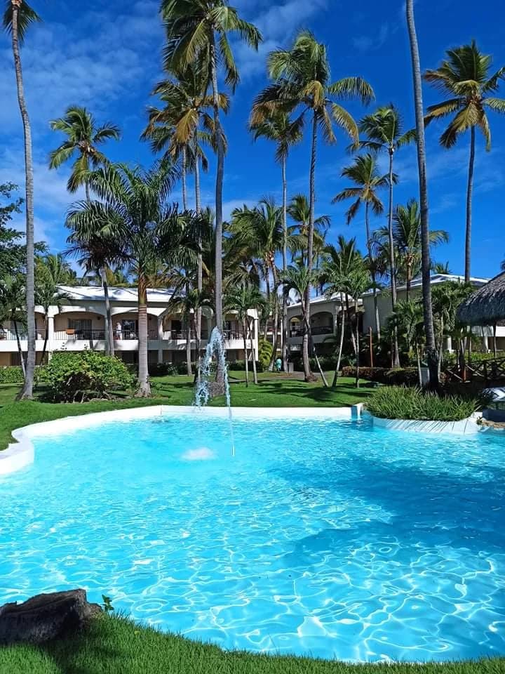 The dramatic, palm-fringed coastline of Punta Cana where the Atlantic meets the Caribbean