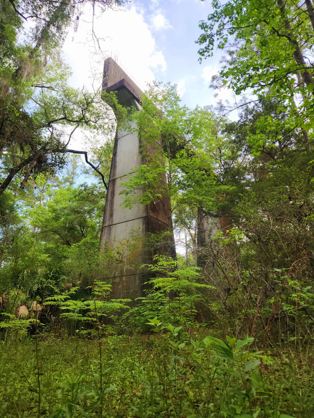 Historic Santos tram tracks and old buildings