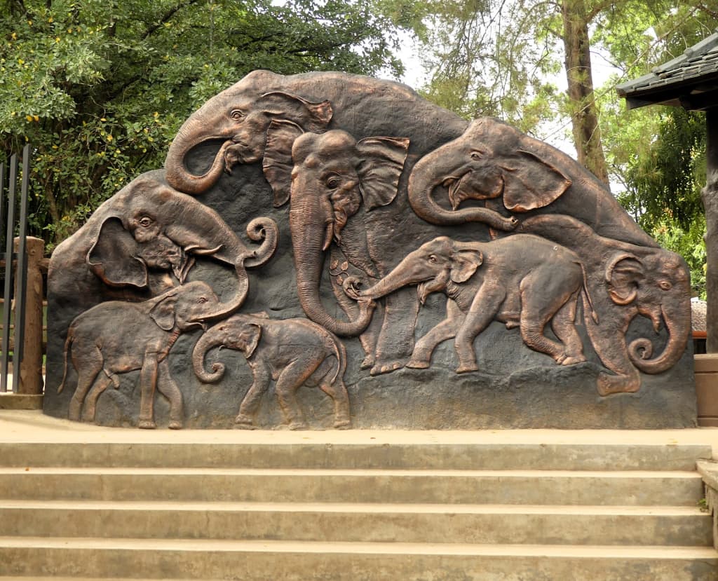 Manada em Pinnawala indo ao rio