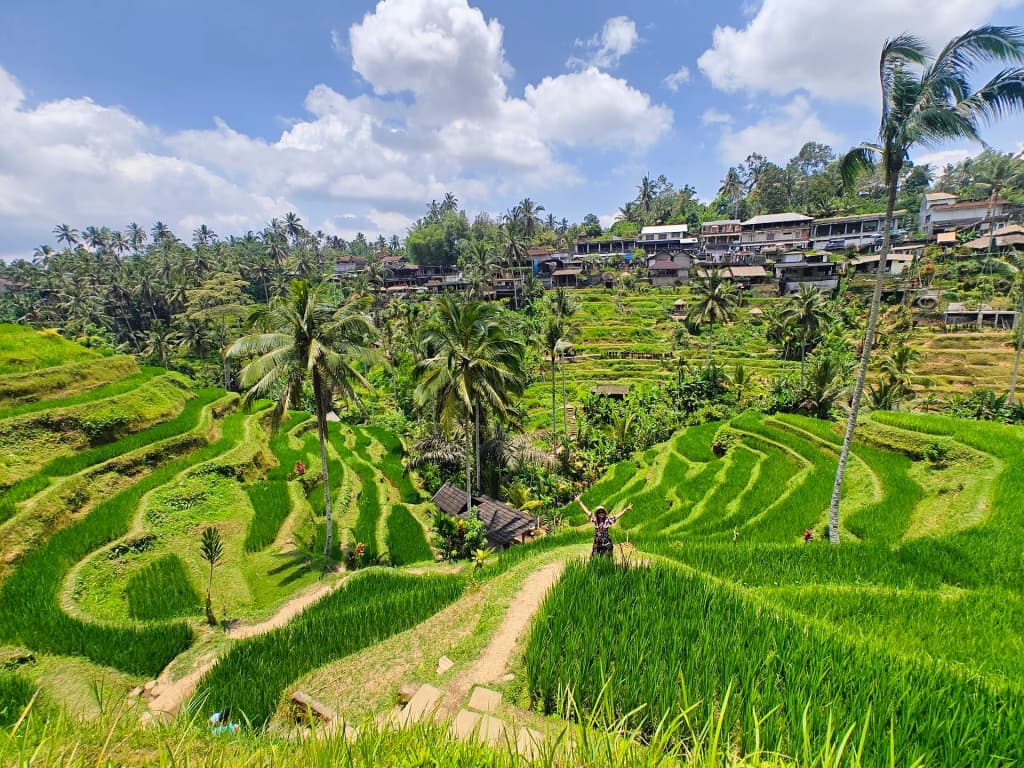 Lush green stepped landscapes of Tegallalang Rice Terrace in Bali