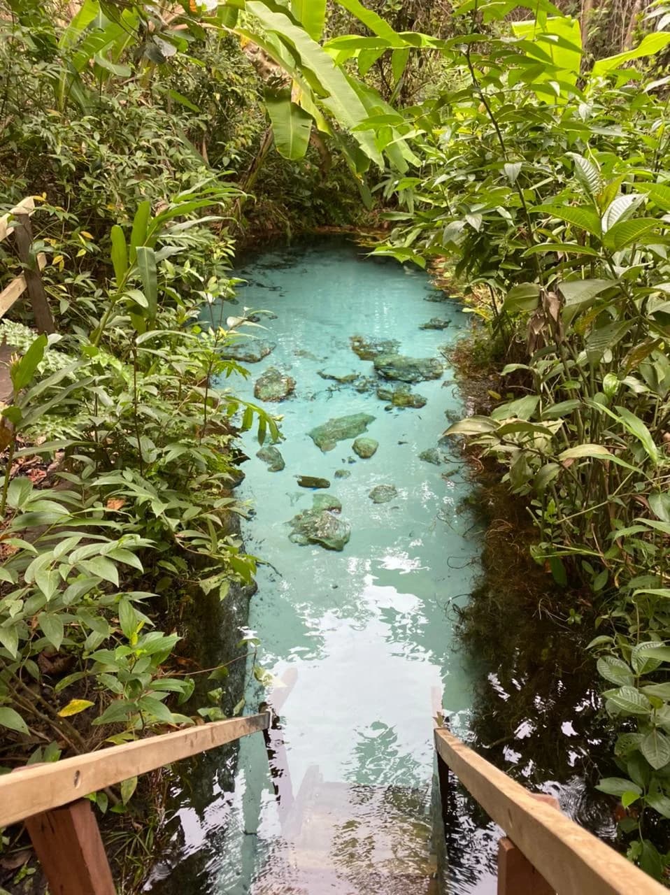 Fervedouro do Buritizinho turquoise water