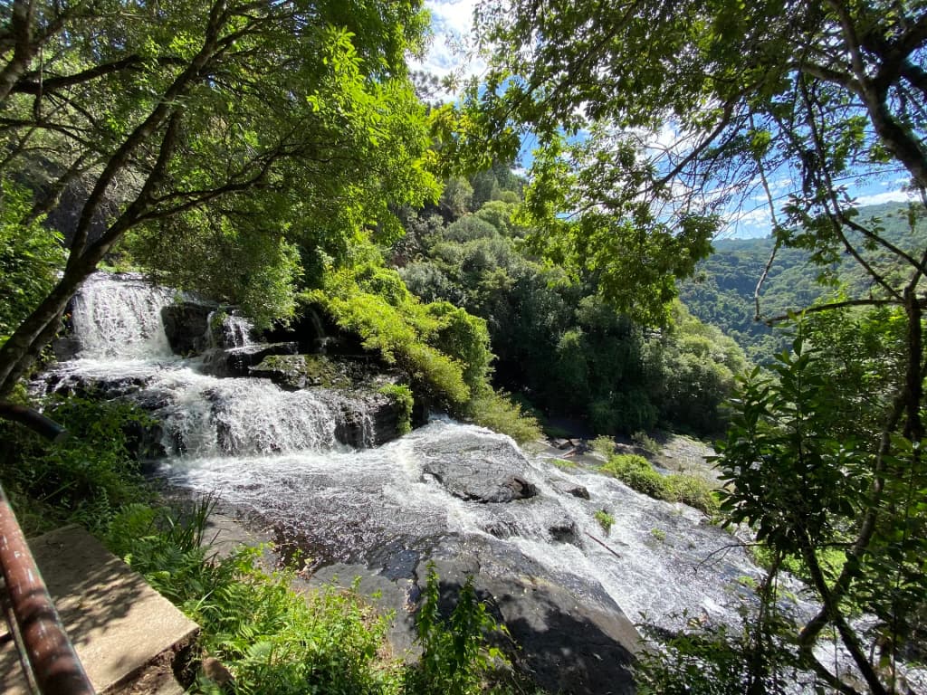The lush green forests of Canela surrounding the Cascata do Caracol