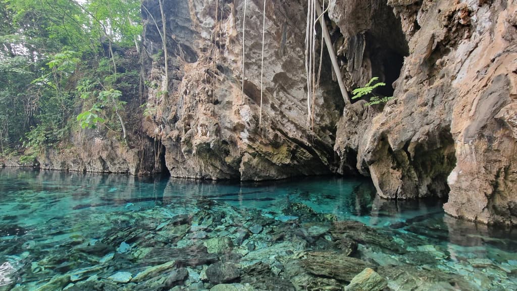 Jalapão - Lagoa do Japonês - Photo by Pedro Rosa