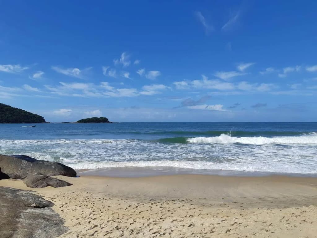 Surfers catching the swell at Prumirim Beach