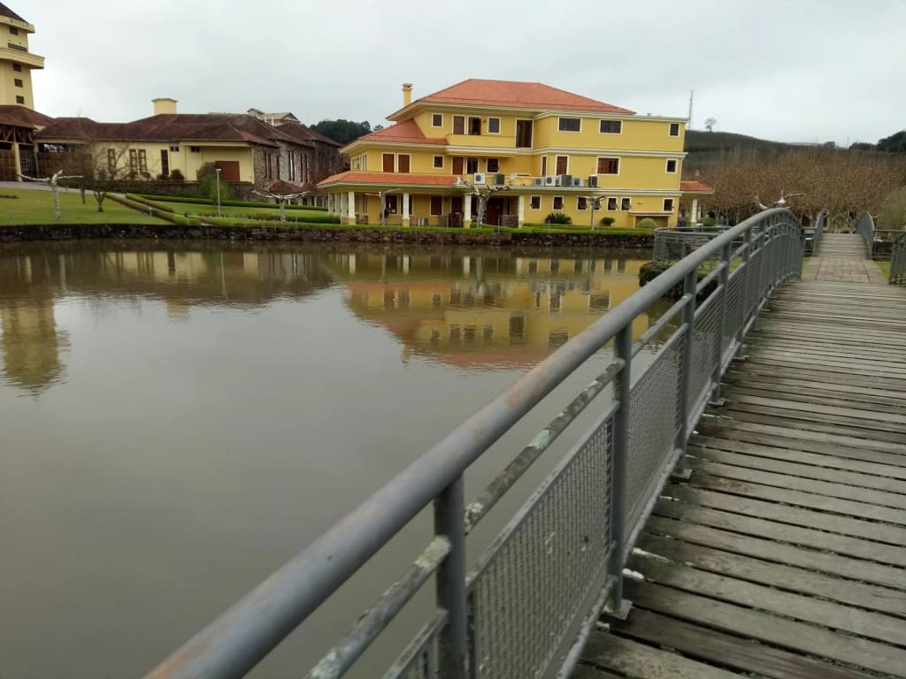 Vinhas no Vale dos Vinhedos