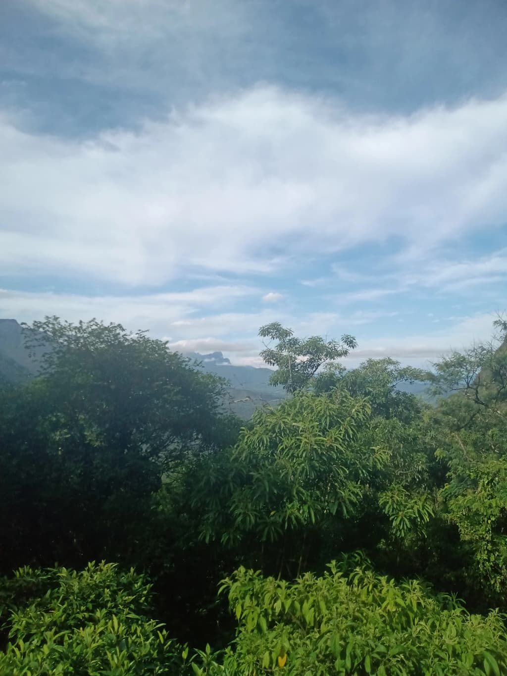 Dramatic mountain views of Serra do Mar