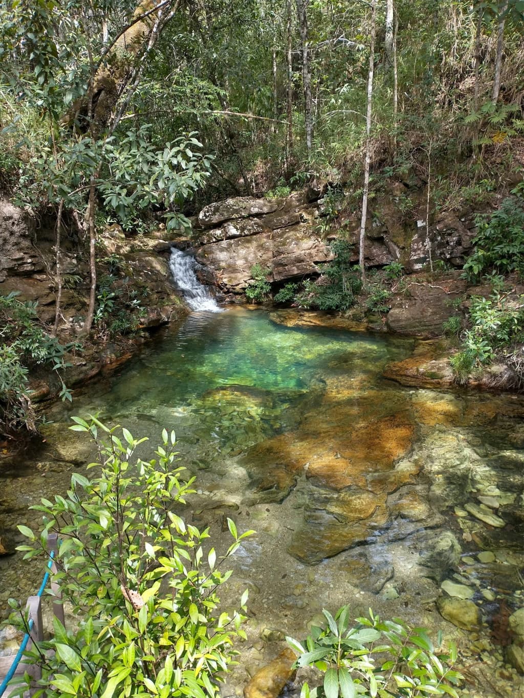 Loquinhas - Photo by Juliana Jaqueline Budag
