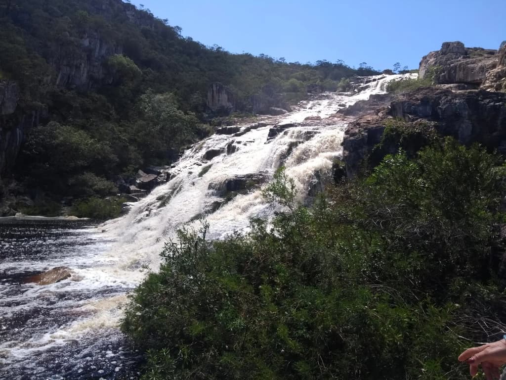 Curimataí - Photo by Celia Lapa Caldeira