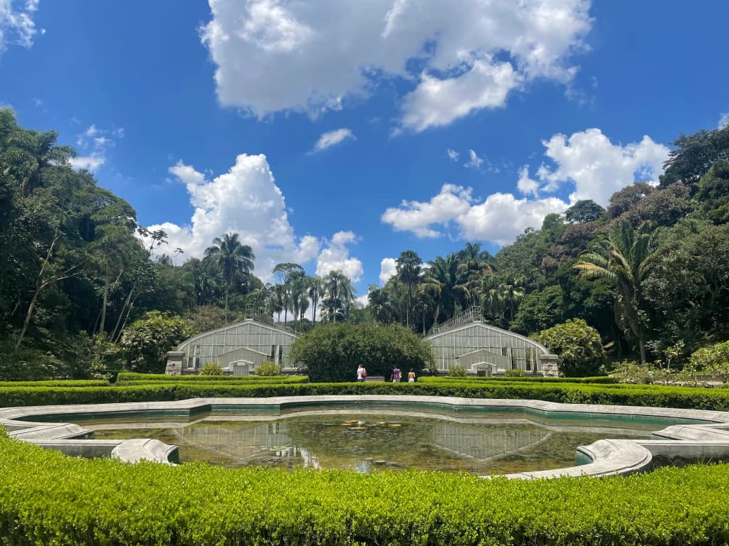 A wooden walkway flanked by tall palms in São Paulo Botanical Garden