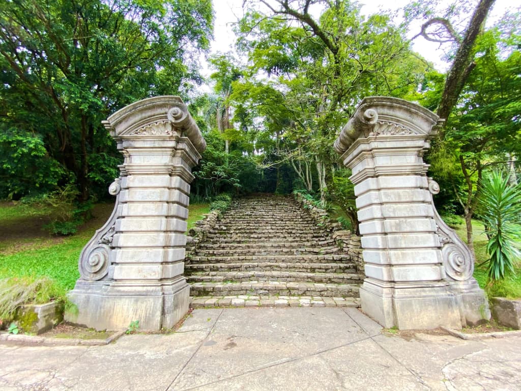 Water lilies and turtles at Lago das Ninfeias, São Paulo Botanical Garden