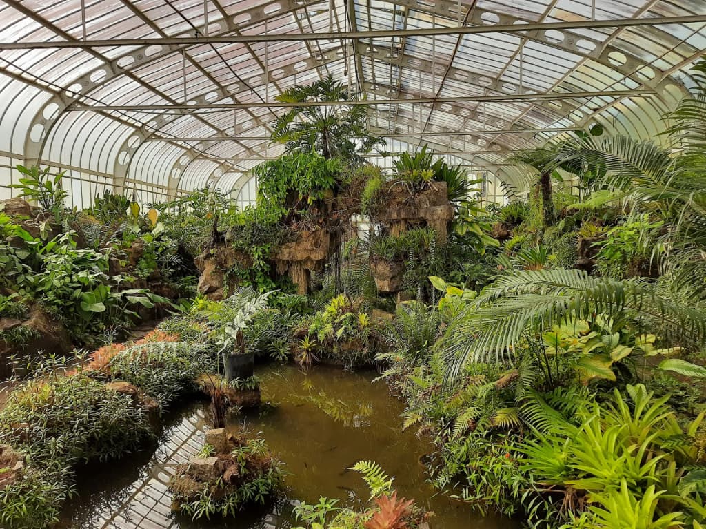 The cool, shaded Bamboo Tunnel at São Paulo Botanical Garden