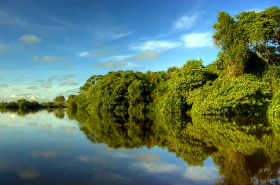 Avistamiento de fauna en el Pantanal