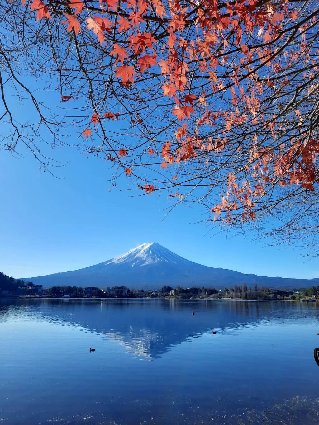 Quiet morning at Lake Kawaguchiko