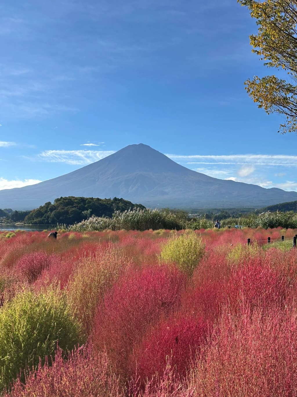 Walking along the shores of Oishi Park