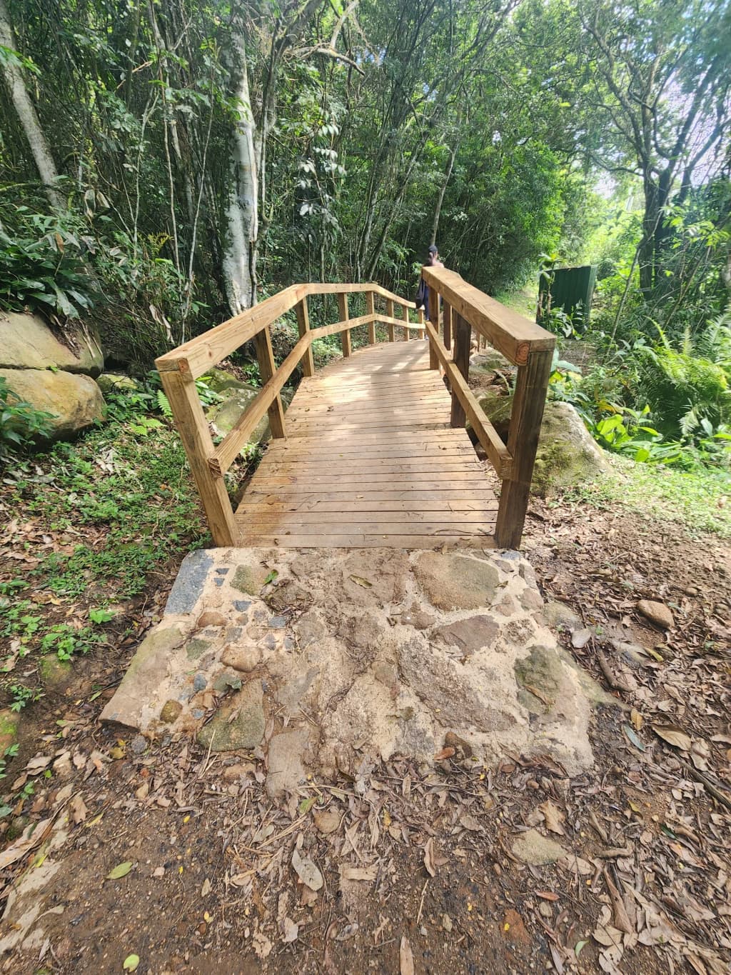 Sendero selvático y empinado en la Costa da Lagoa