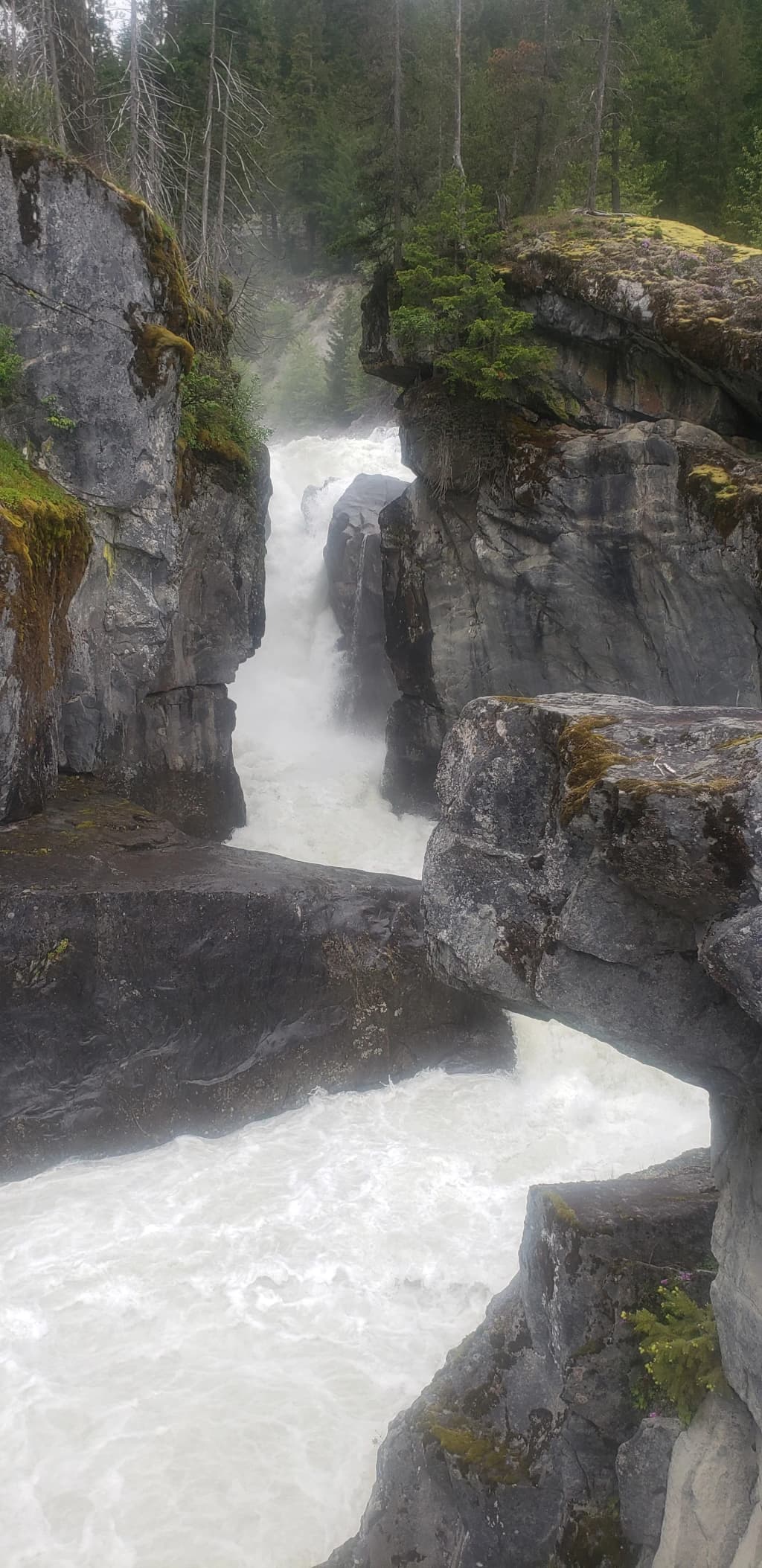 Escena de verano en Whistler Village