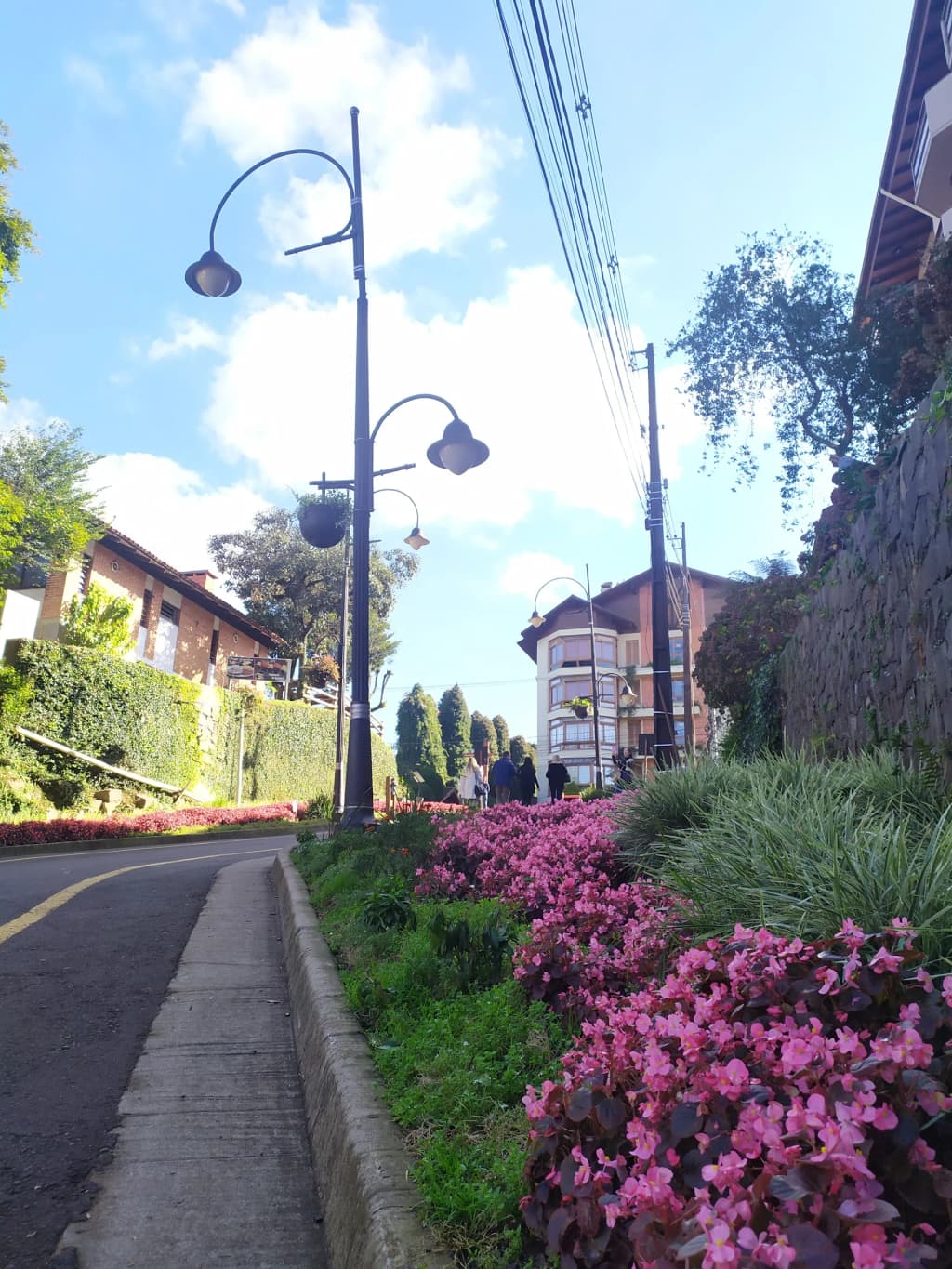 The charming, flower-lined curves of Rua Torta in Gramado
