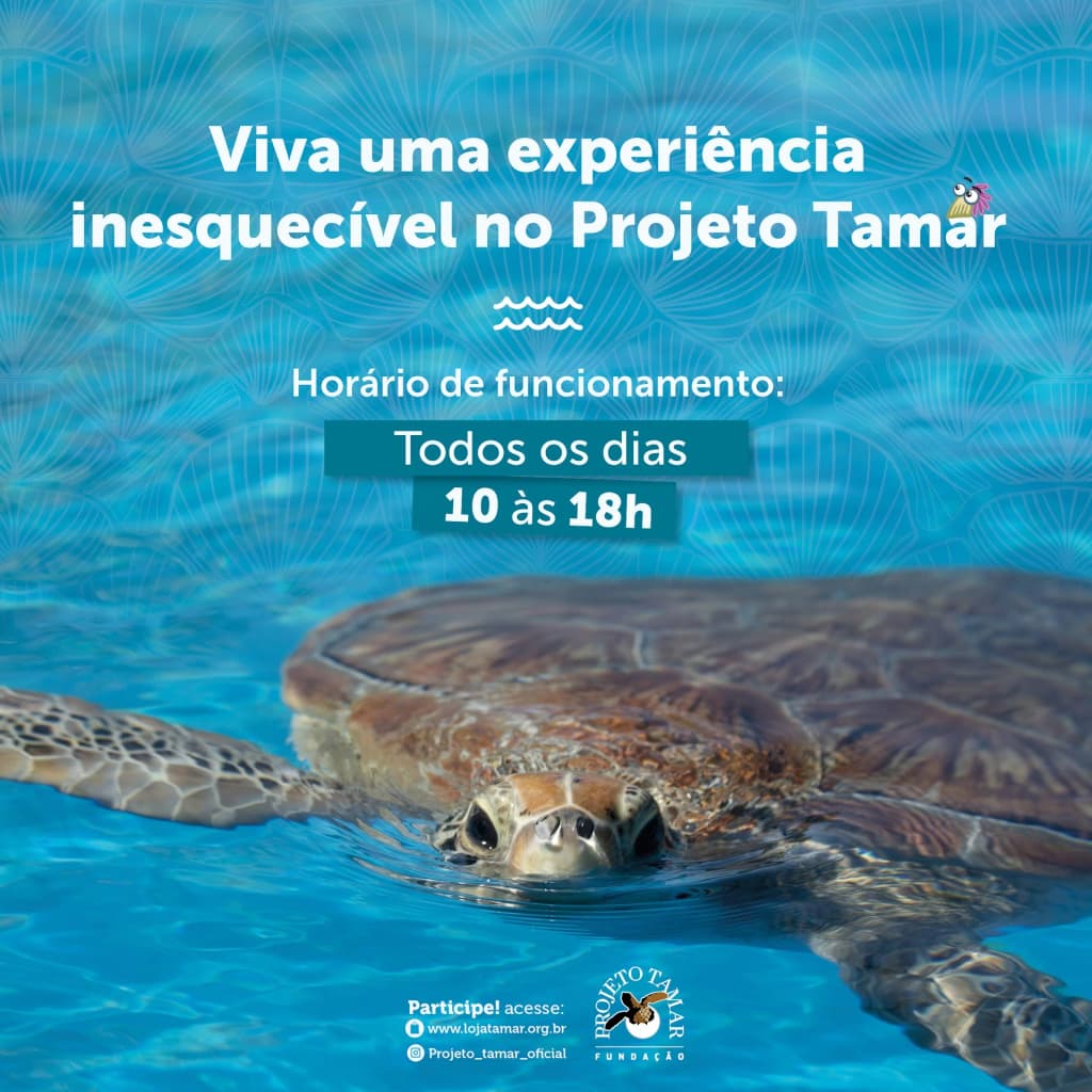 Fundação Projeto Tamar - Aracaju - Photo by Fundação Projeto Tamar - Aracaju