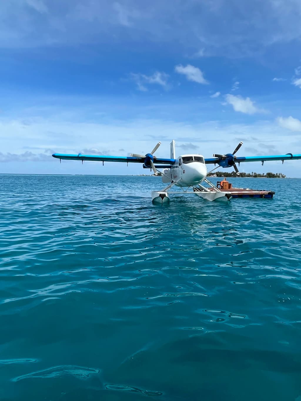 O Flying Boxfish amarelo e preto sobre as águas das Maldivas