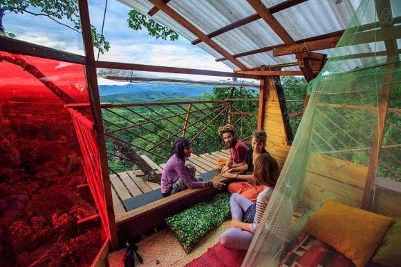 Treehouse Araras perched high in the Chapada dos Veadeiros forest