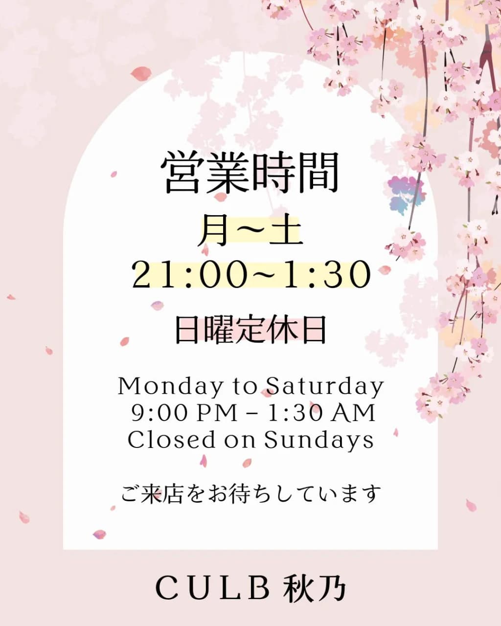 A typical private Japanese karaoke room with plush seating and warm lighting