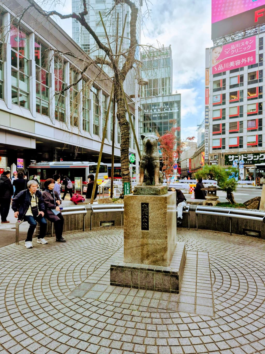 Shibuya Crossing - Photo by Aviva Friedman