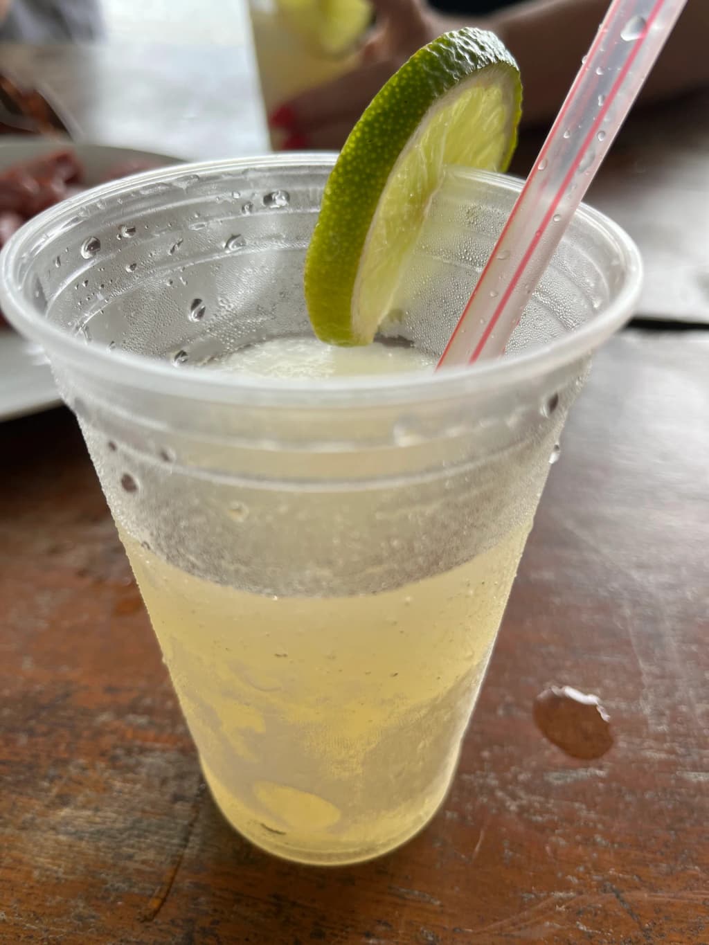 Refrescándose en los rápidos de la selva en Rancho K9