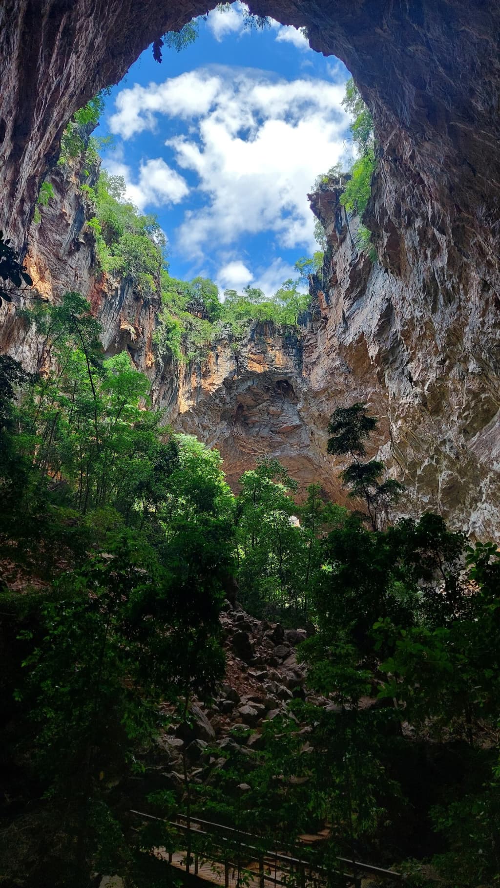 Massive cavern opening of Gruta do Janelão swallowing the surrounding forest