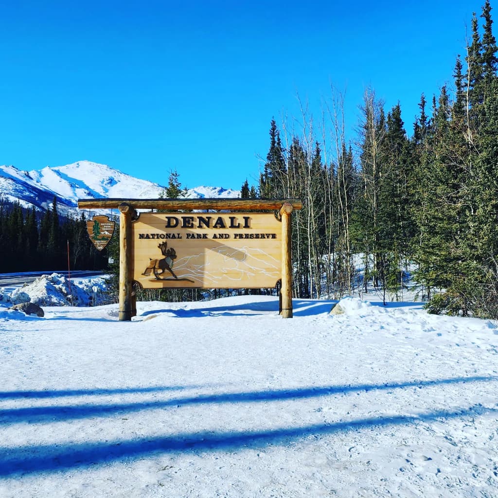 Rugged landscape of Denali National Park - Photo by Skeeter Meyers