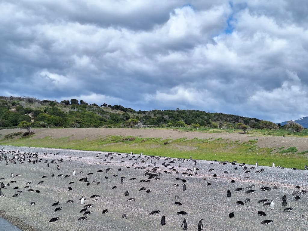 Hammer Island - Photo by eugenio ikan