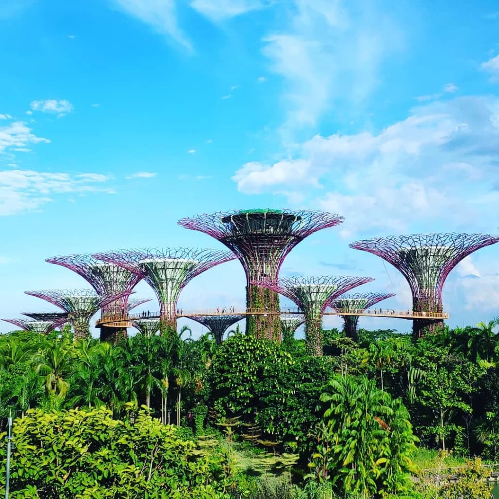 Gardens by the Bay - Photo by Humanprof