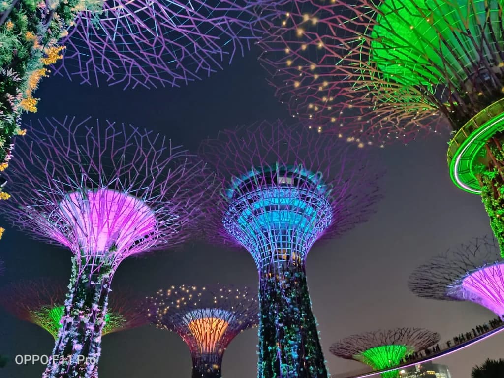 Gardens by the Bay - Photo by subhabrata bhowmick
