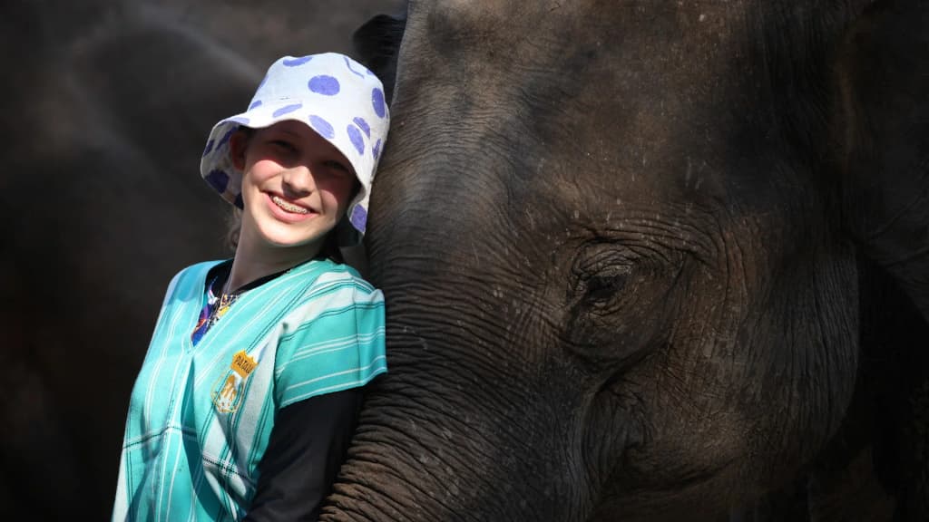 Un elefante en Patara Elephant Farm, Chiang Mai